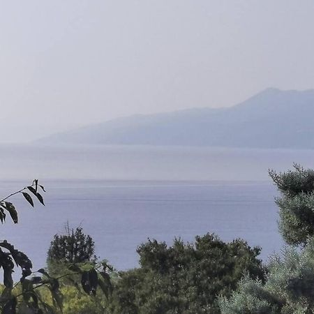 Apartman Liburna Rijeka Exteriér fotografie