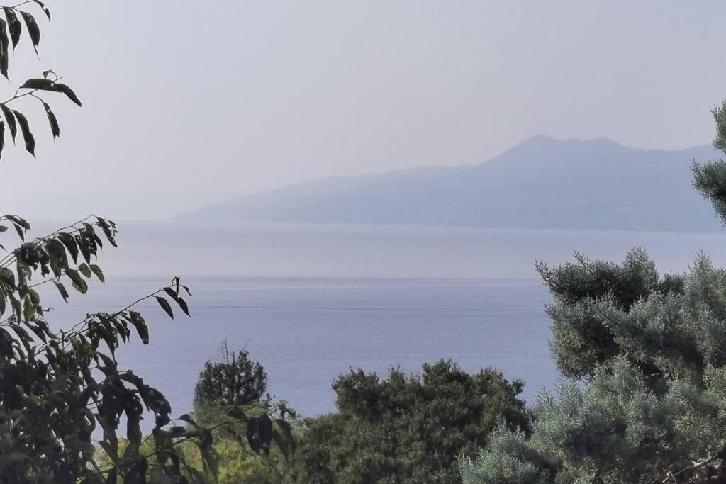 Apartman Liburna Rijeka Exteriér fotografie